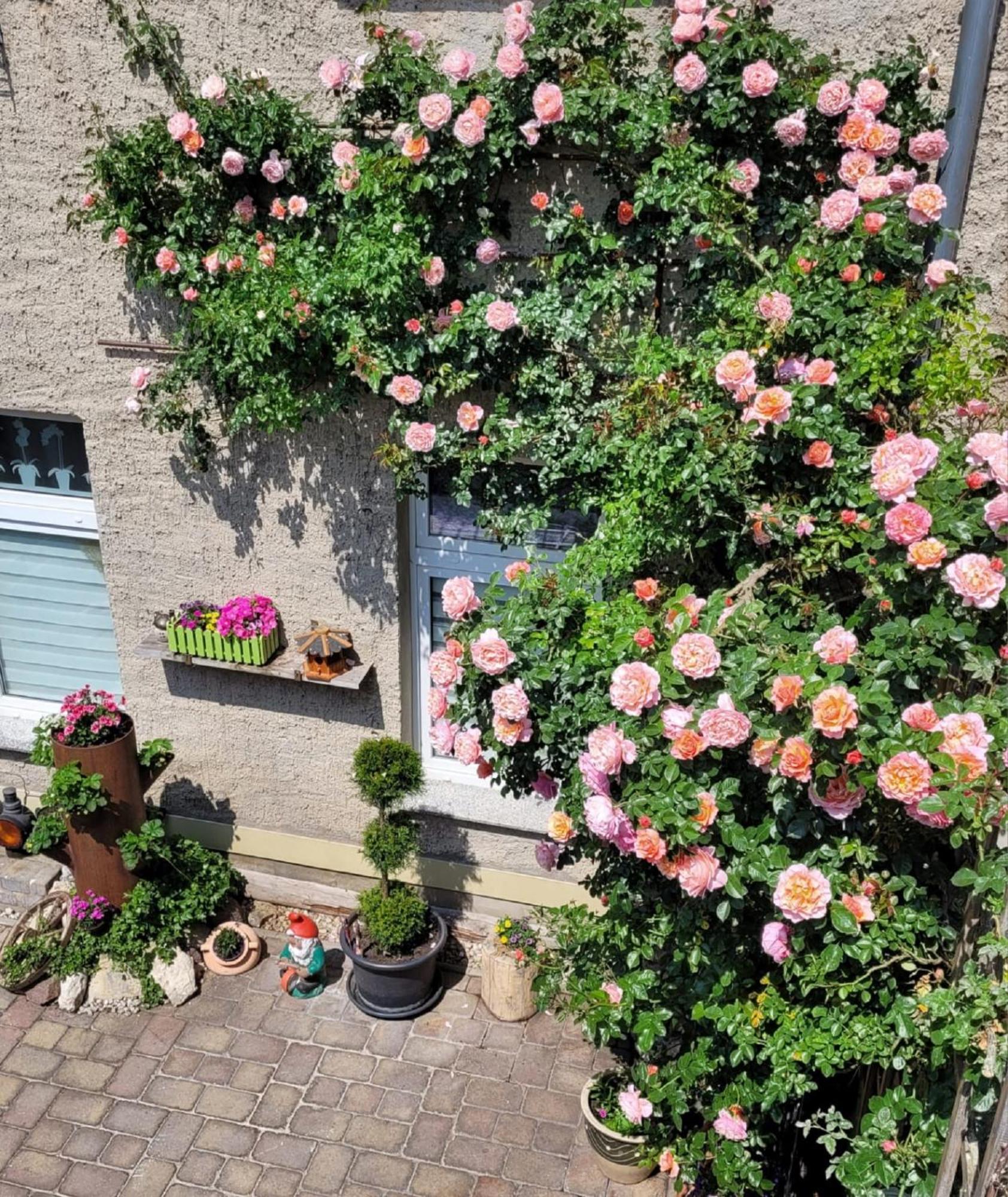 Ferienwohnung Domblick Naumburg  Buitenkant foto